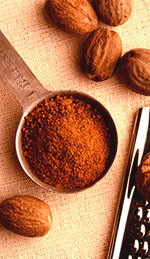 nutmeg oil and the central nervous system