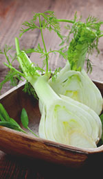 Fennel Oil and Its Uses in Clinical Weight Loss Research