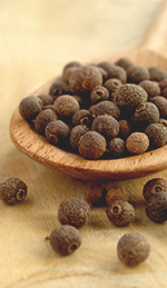 Allspice Berry Oil as a Warming Anaesthetic