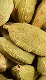 Cardamom Oil As a Circulatory Stimulant and Mind Tonic