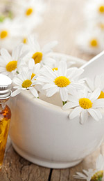 Roman Chamomile Oil and Clinical Treatment of Insomnia